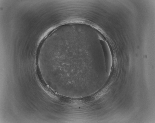 X0000080730438200612151228