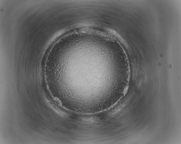 X0000080730439200612151228