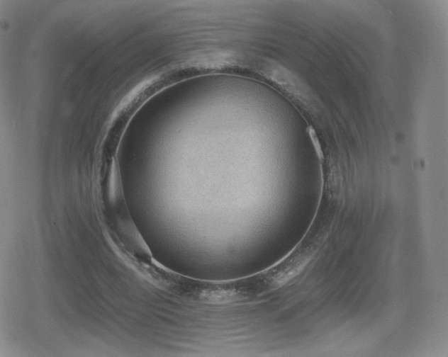 X0000080730440200612151228