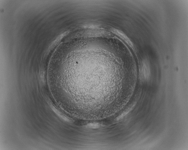 X0000080730441200612151228