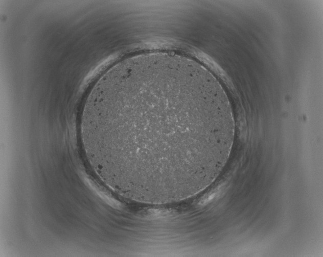 X0000080730442200612151228