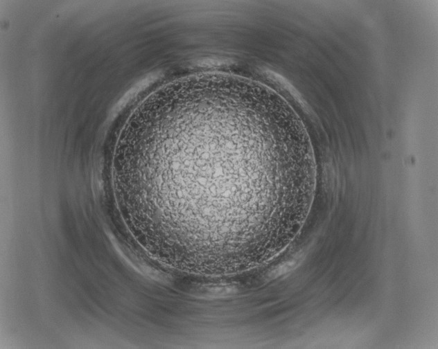 X0000080730443200612151228