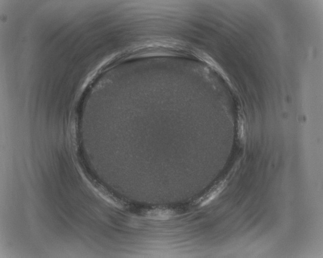 X0000080730444200612151228