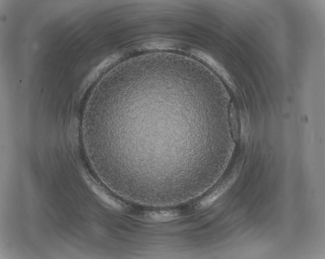 X0000080730445200612151228