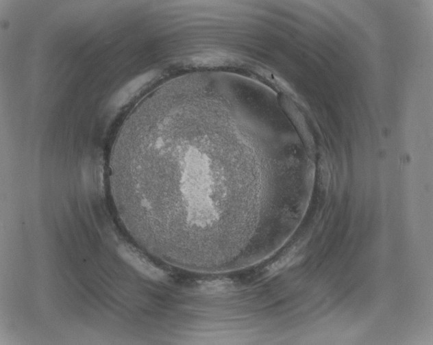 X0000080730446200612151228