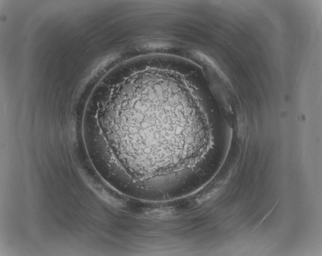 X0000080730447200612151228