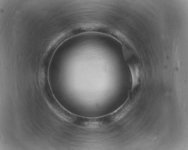 X0000080730448200612151228