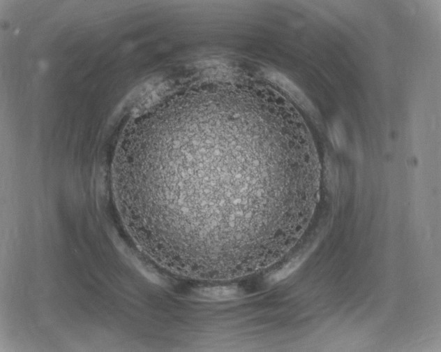 X0000080730449200612151228