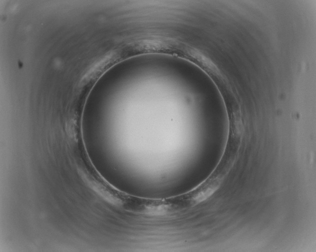 X0000080730450200612151228