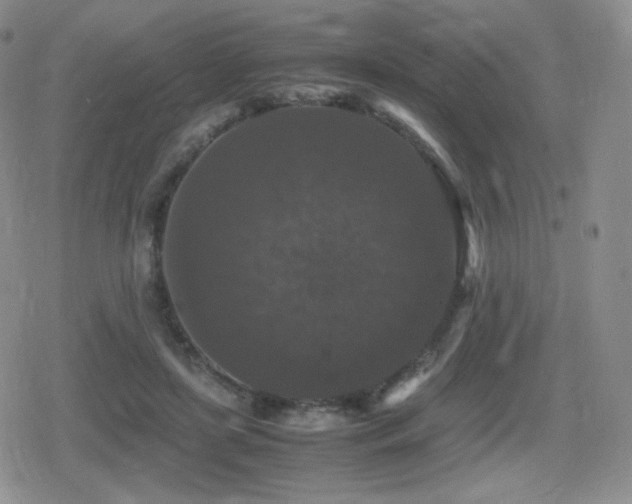 X0000080730451200612151228