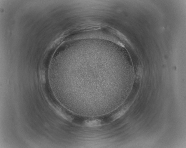 X0000080730452200612151228