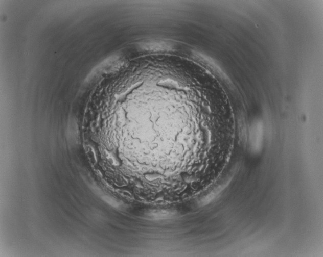 X0000080730453200612151228