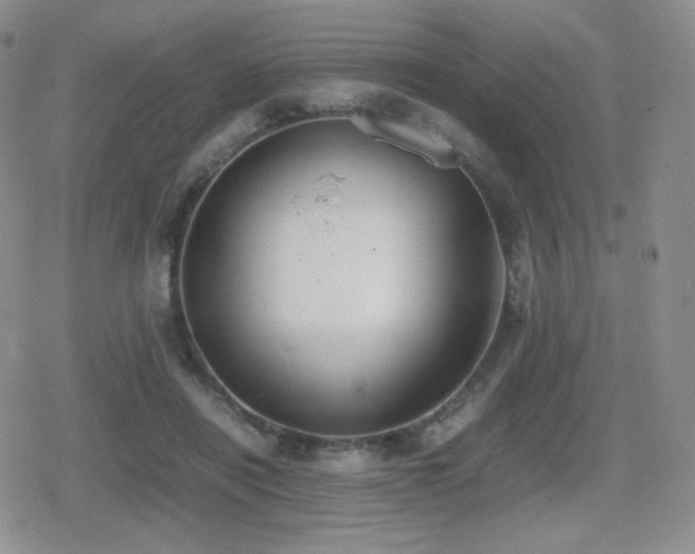 X0000080730454200612151228