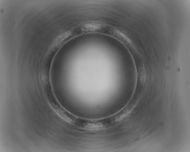 X0000080730455200612151228