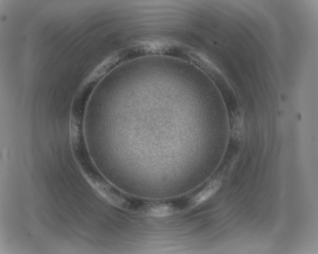 X0000080730456200612151228