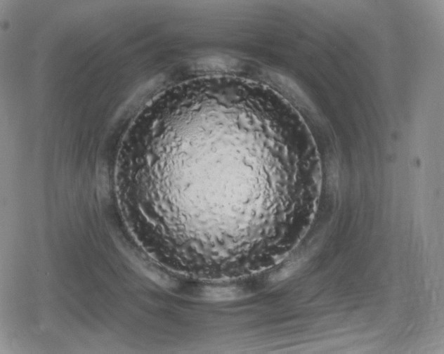 X0000080730457200612151228