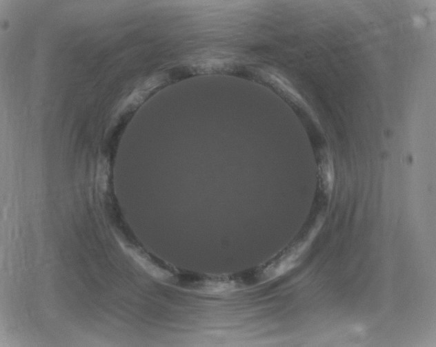 X0000080730458200612151228