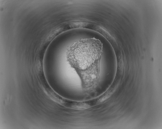 X0000080730459200612151228