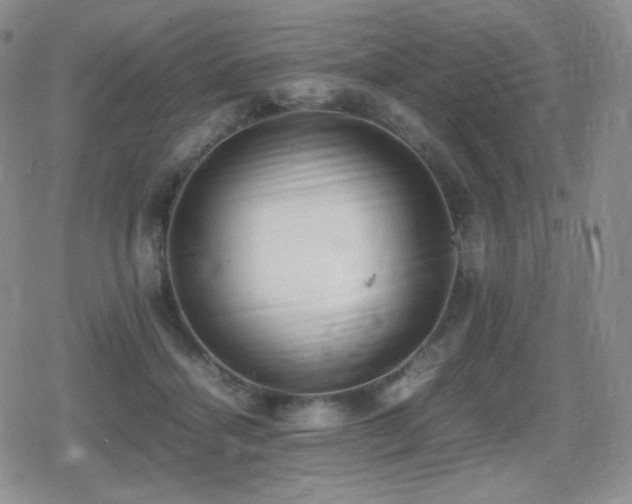 X0000080730460200612151228