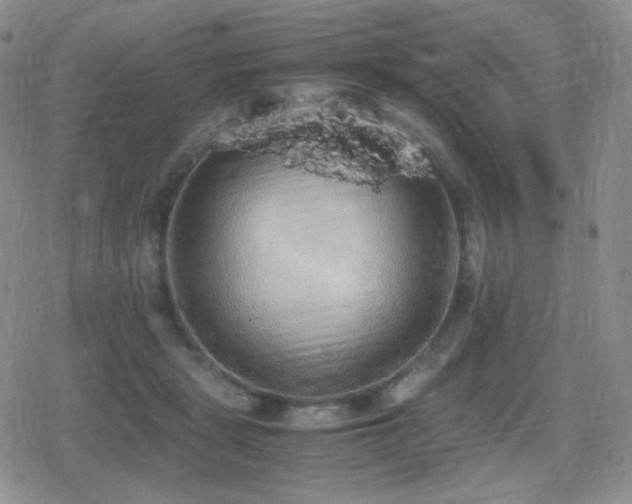 X0000080730461200612151228