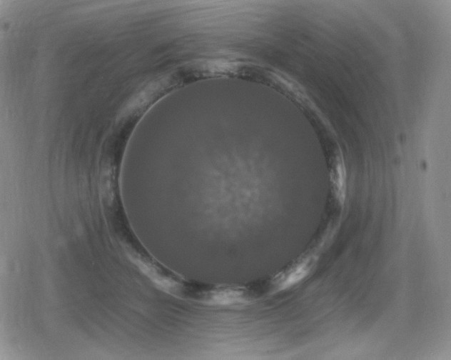 X0000080730462200612151228