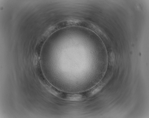 X0000080730463200612151228