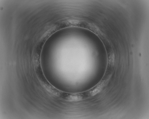 X0000080730464200612151228