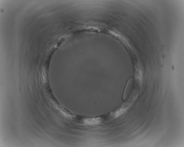 X0000080730465200612151228