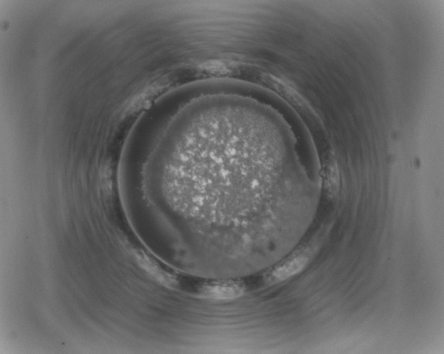 X0000080730466200612151228