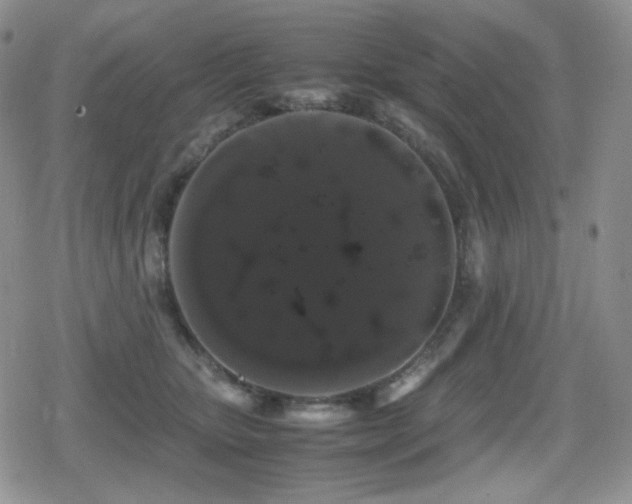 X0000080730467200612151228