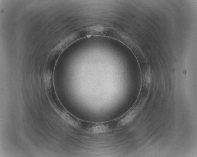 X0000080730468200612151228