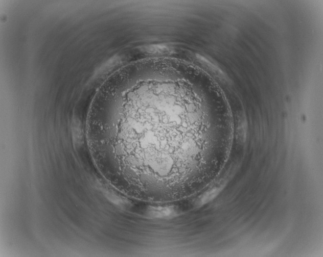 X0000080730469200612151229