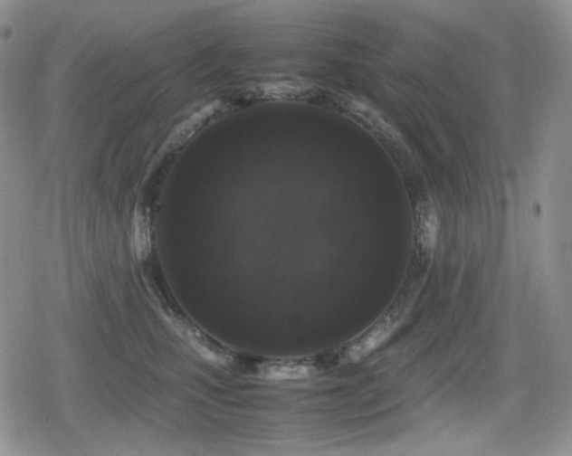 X0000080730471200612151229