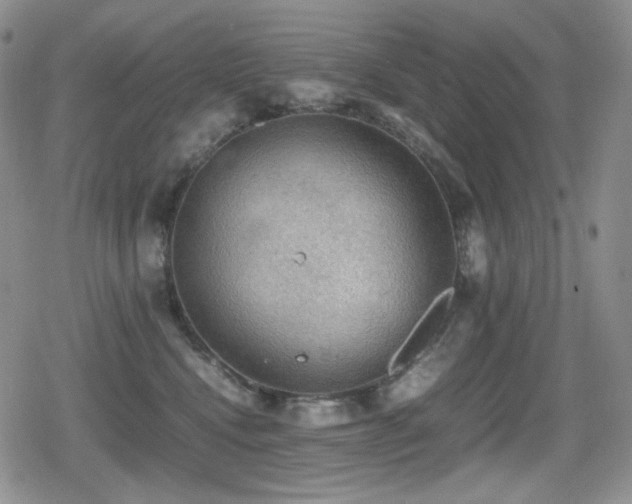 X0000080730472200612151229