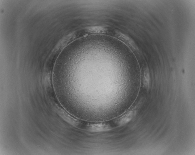 X0000080730473200612151229