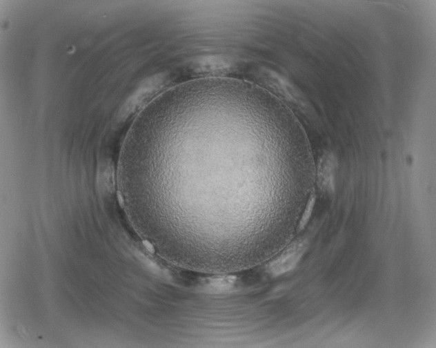 X0000080730474200612151229