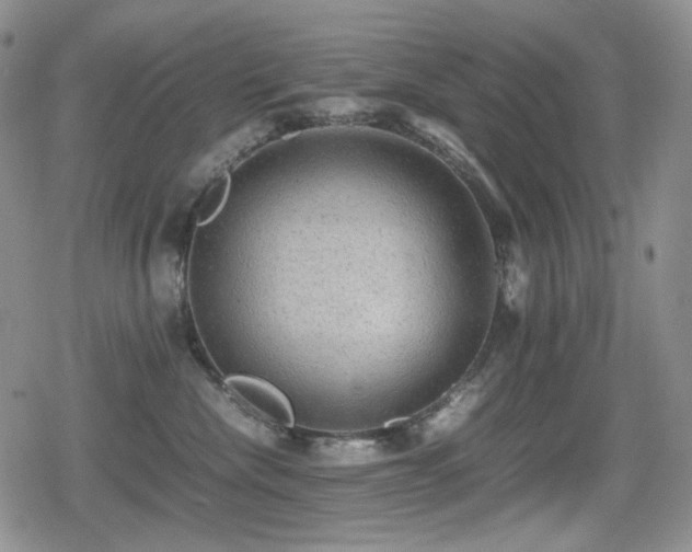 X0000080730476200612151229