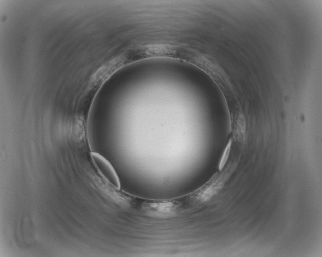 X0000080730478200612151229