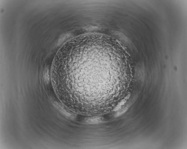 X0000080730479200612151229