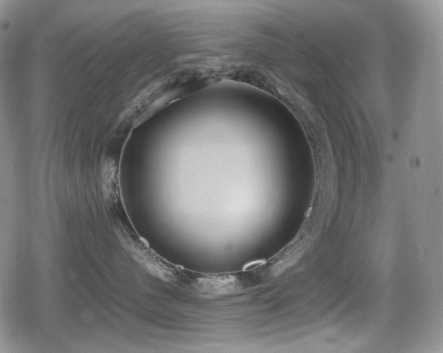 X0000080730480200612151229