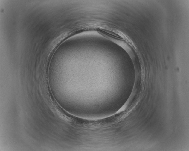 X0000080730481200612151228