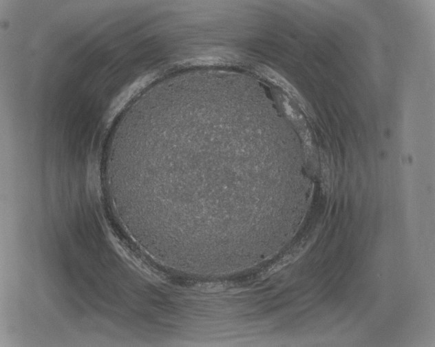 X0000080730482200612151228