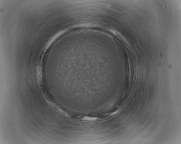 X0000080730484200612151228