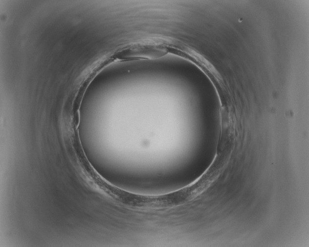 X0000080730485200612151228