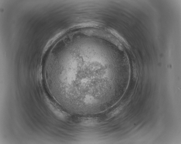 X0000080730486200612151228