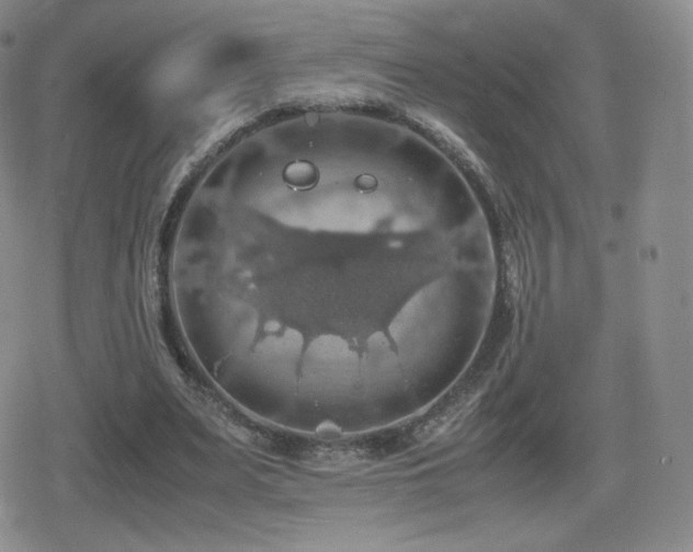 X0000080730487200612151228