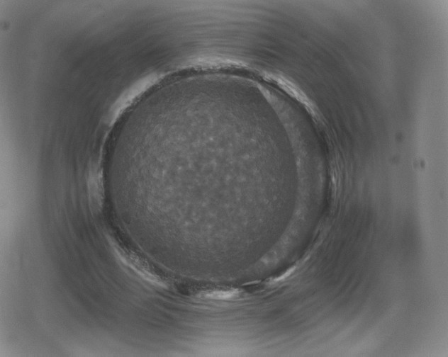 X0000080730488200612151228