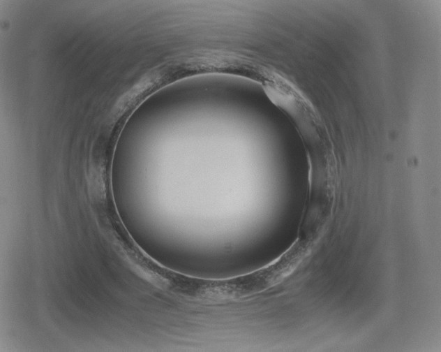 X0000080730489200612151228