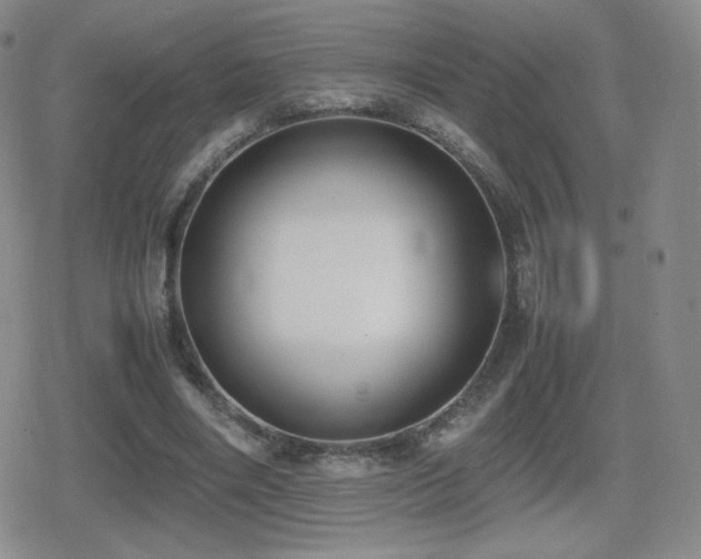 X0000080730490200612151228