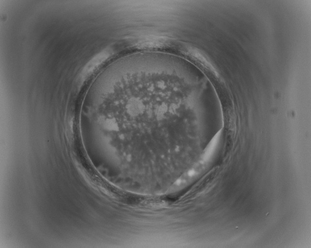 X0000080730491200612151228